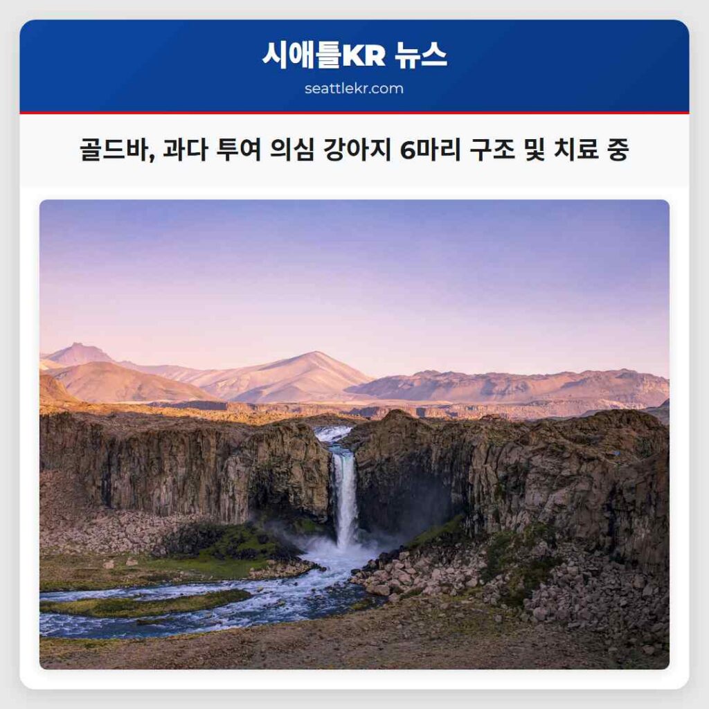 골드바, 과다 투여 의심 강아지 6마리 구조 및 치료 중