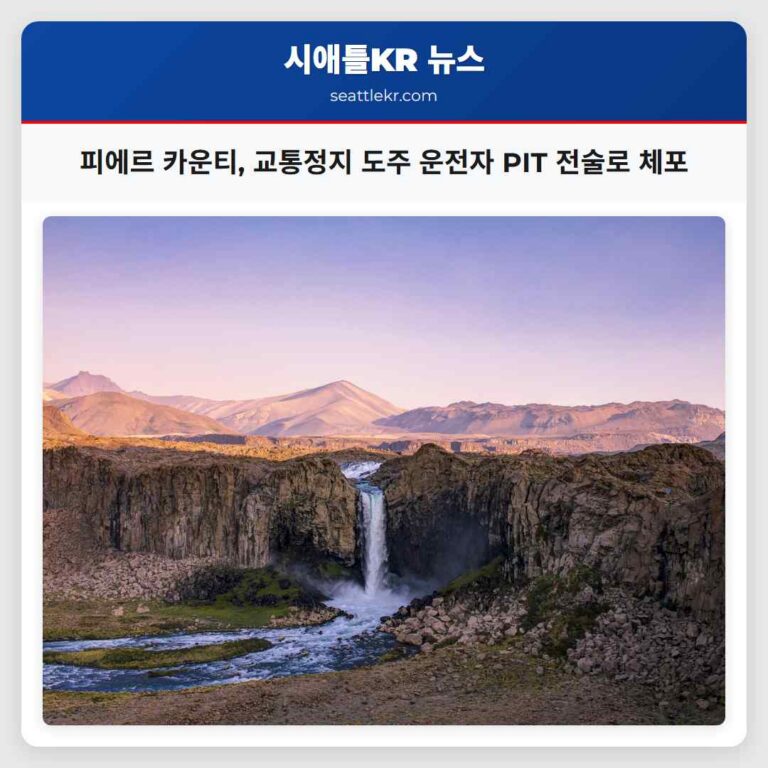 피에르 카운티 경찰관 교통정지 중 도주 운전자에게 PIT 전술 사용