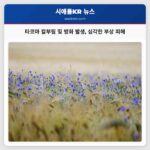 타코마 칼부림과 방화 발생 세 명 부상