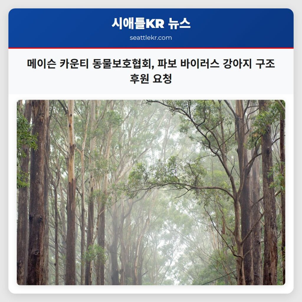 메이슨 카운티 동물보호협회, 파보 바이러스 강아지 구조 후원 요청