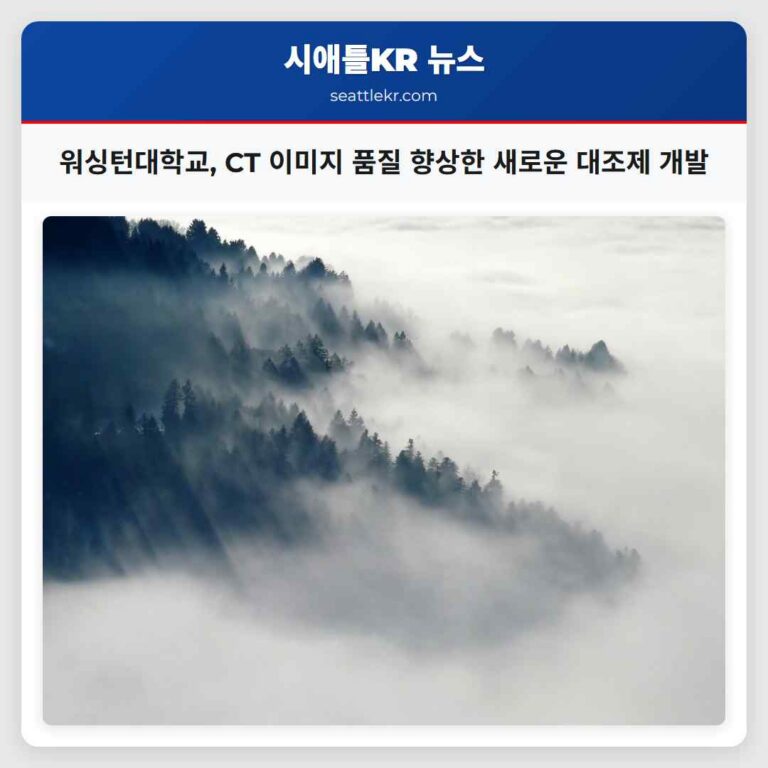 워싱턴대학교 새로운 어두운 보로실리케이트 구강 대조제를 통한 CT 스캔 이미지 품질 향상