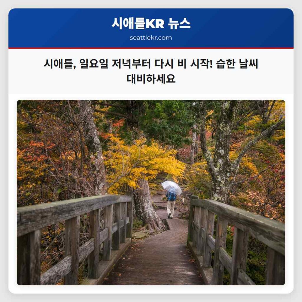 시애틀, 일요일 저녁부터 다시 비 시작! 습한 날씨 대비하세요