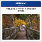 시애틀 일요일 저녁부터 다시 습한 날씨 예상