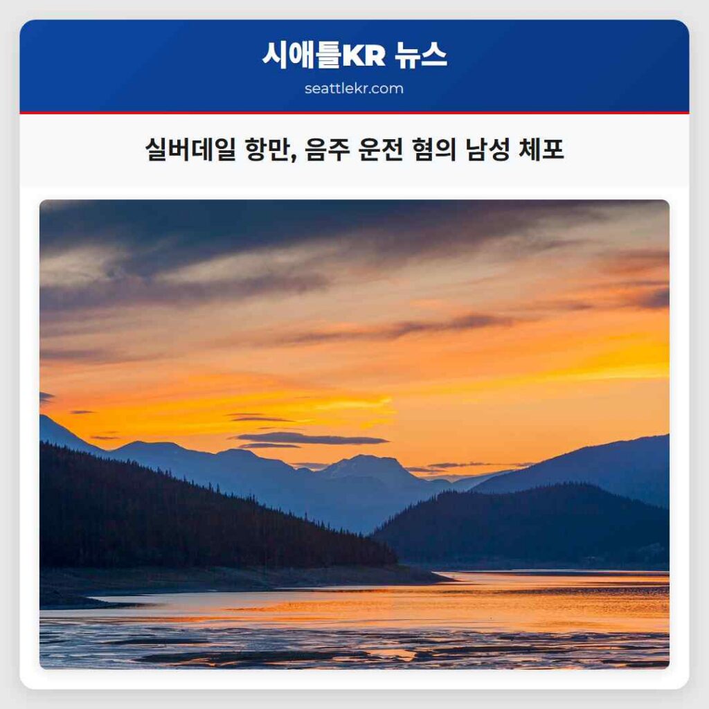 실버데일 항만, 음주 운전 혐의 남성 체포