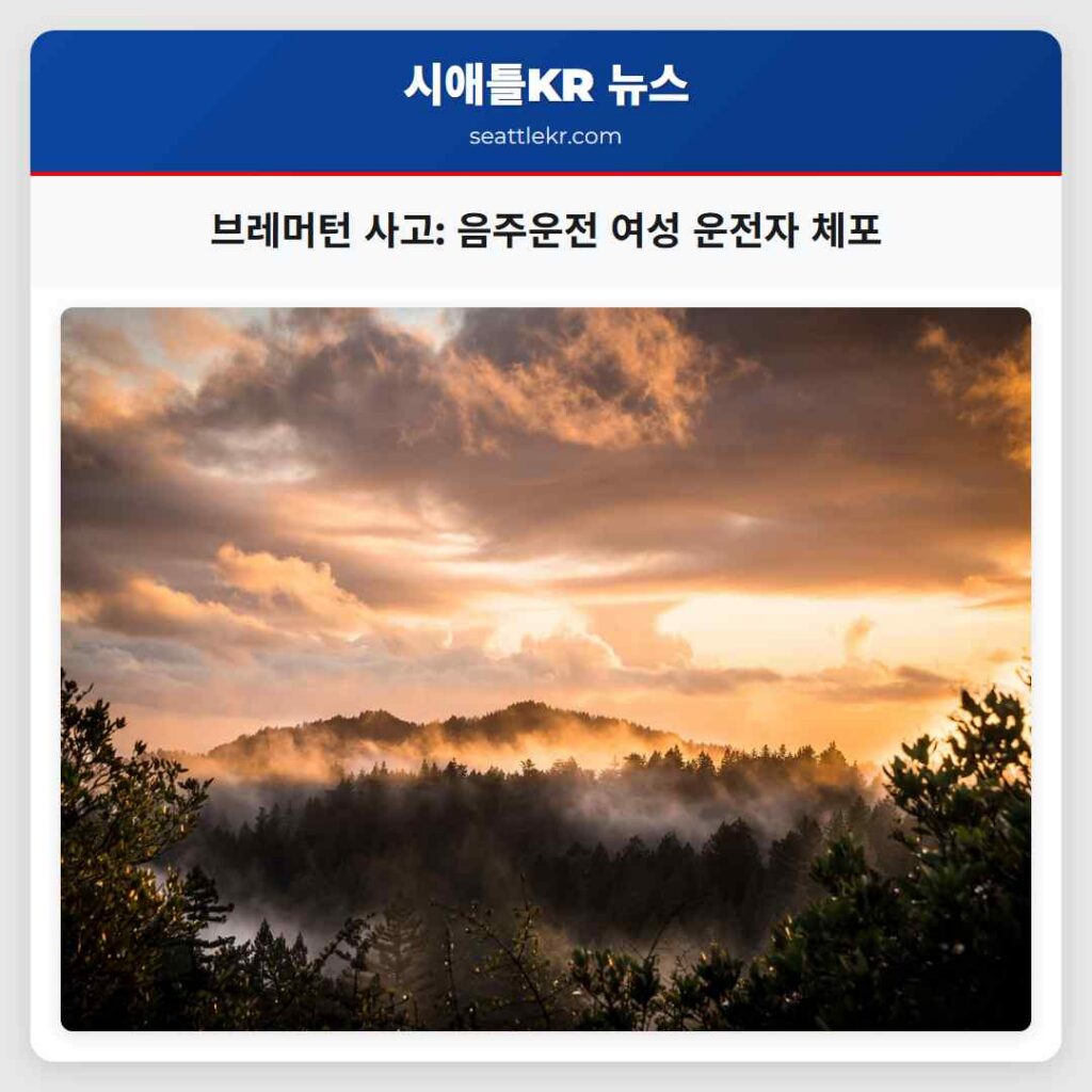 시애틀 최신뉴스 2 브레머턴 사고: 음주운전 여성 운전자 체포