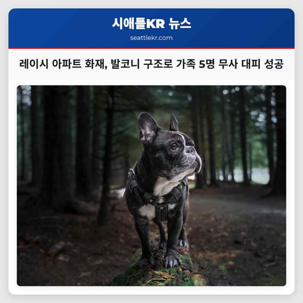 레이시 아파트 화재, 발코니 구조로 가족 5명 무사 대피 성공