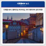 시애틀 NFC 챔피언십 하프타임 쇼 터커 웨트모어 초청 확정