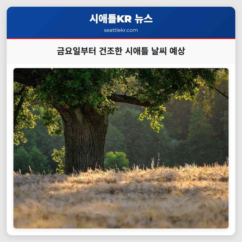 금요일부터 건조한 시애틀 날씨 예상