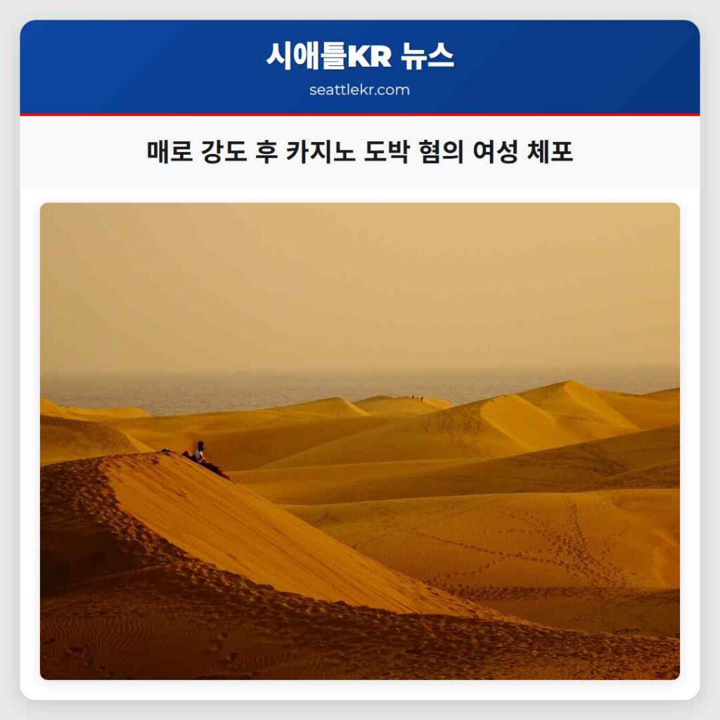 매로 강도 후 카지노 도박 혐의 여성 체포