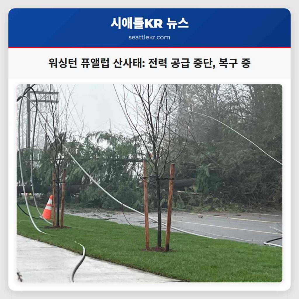 워싱턴 퓨앨럽 산사태: 전력 공급 중단, 복구 중