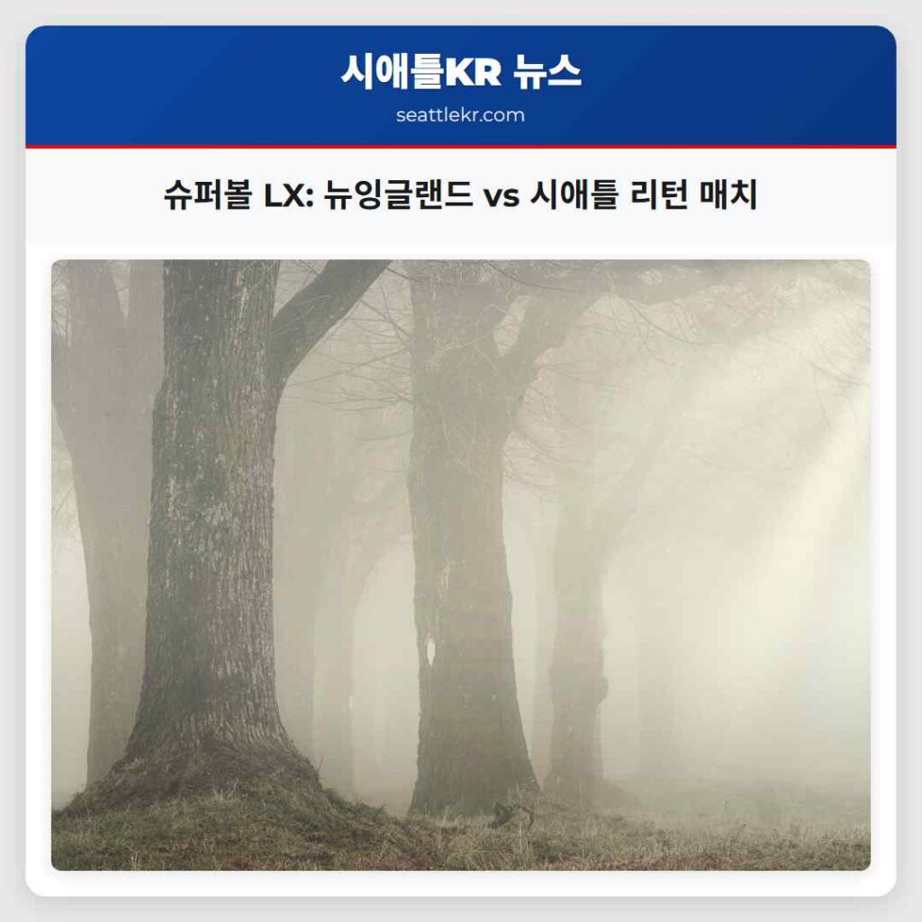 슈퍼볼 LX: 뉴잉글랜드 vs 시애틀 리턴 매치