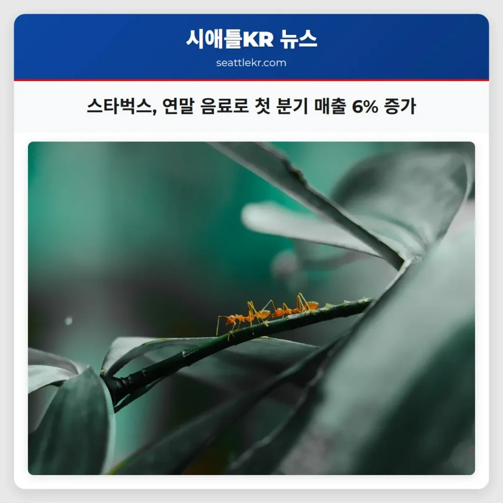 스타벅스, 연말 음료로 첫 분기 매출 6% 증가