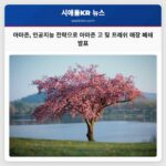 시애틀 본사 아마존 인공지능 중심 전략으로 아마존 고 및 아마존 프레쉬 매장 폐쇄 발표