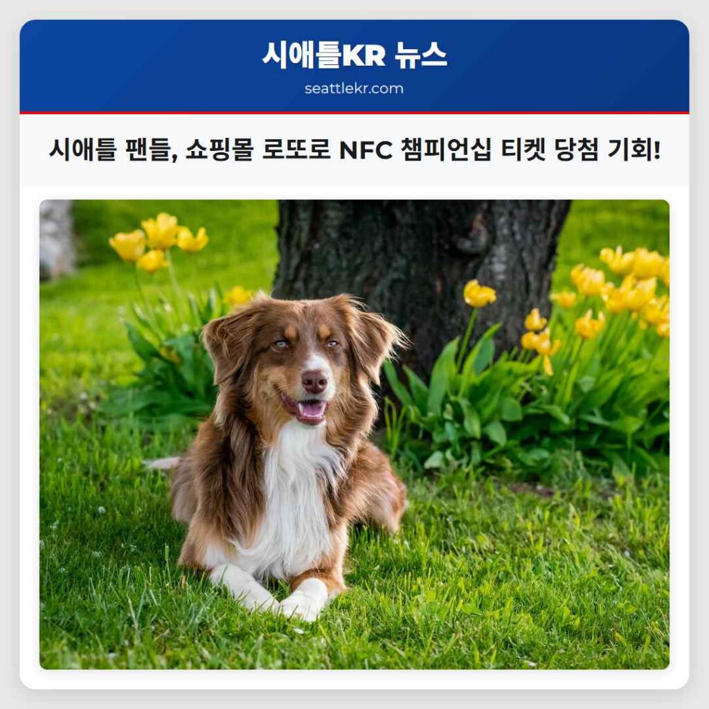 시애틀 최신뉴스 5 시애틀 팬들, 쇼핑몰 로또로 NFC 챔피언십 티켓 당첨 기회!