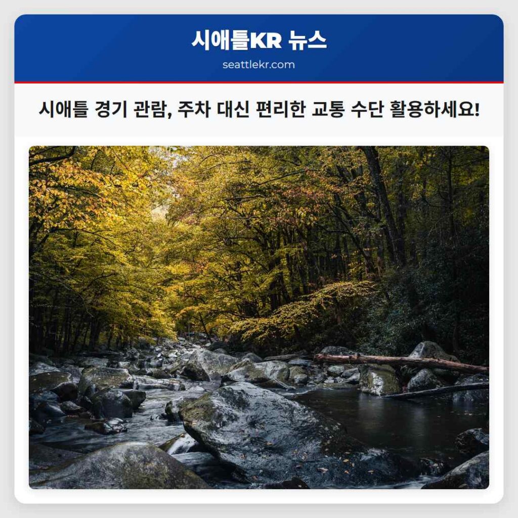 시애틀 경기 관람, 주차 대신 편리한 교통 수단 활용하세요!
