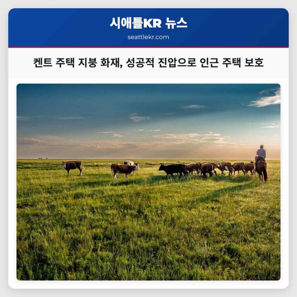 켄트 주택 지붕 화재, 성공적 진압으로 인근 주택 보호