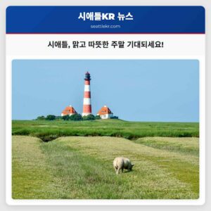 시애틀 맑은 하늘로 평온한 주말 맞이