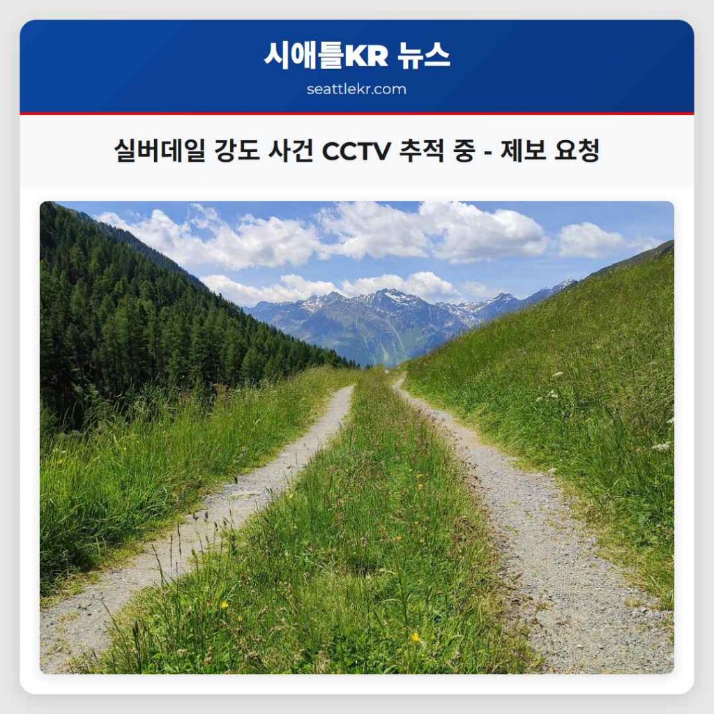 실버데일 강도 사건 CCTV 추적 중 - 제보 요청