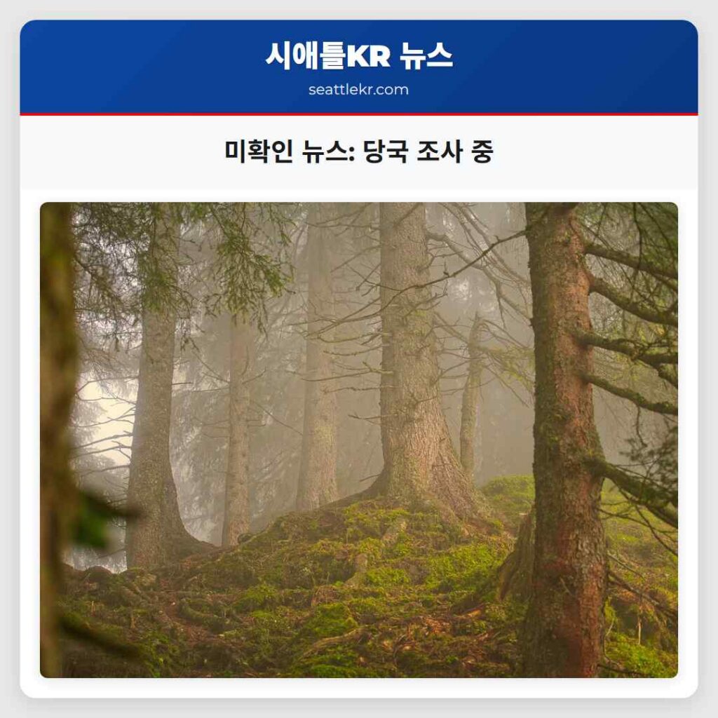 미확인 뉴스: 당국 조사 중