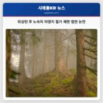 워싱턴 주 법안 노숙자 야영지 철거 제한 논쟁 격화