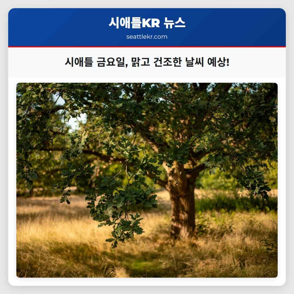 시애틀 금요일, 맑고 건조한 날씨 예상!