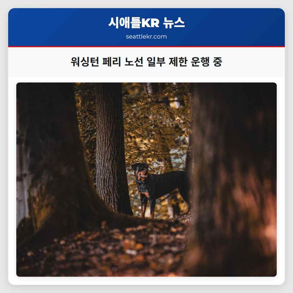 워싱턴 페리 노선 일부 제한 운행 중