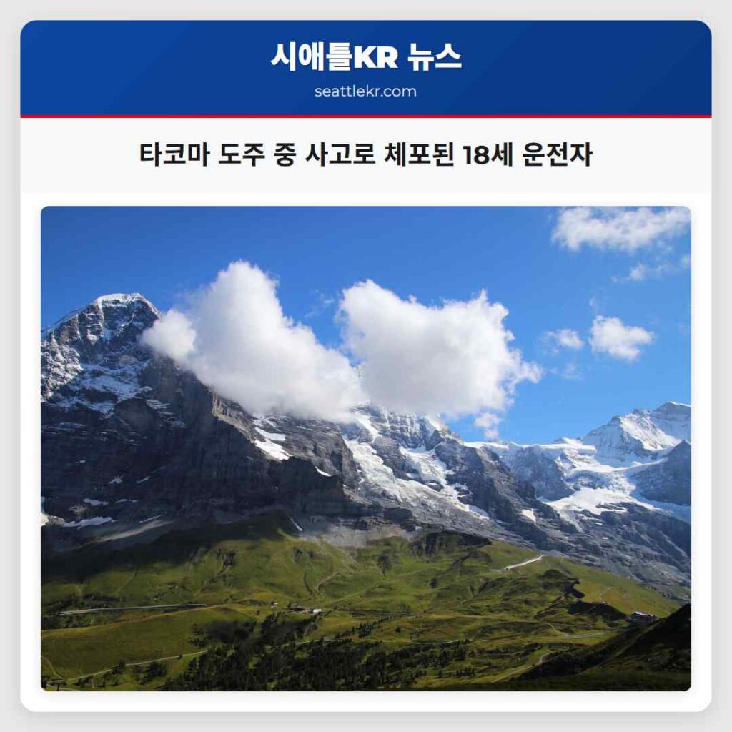 타코마 도주 중 사고로 체포된 18세 운전자