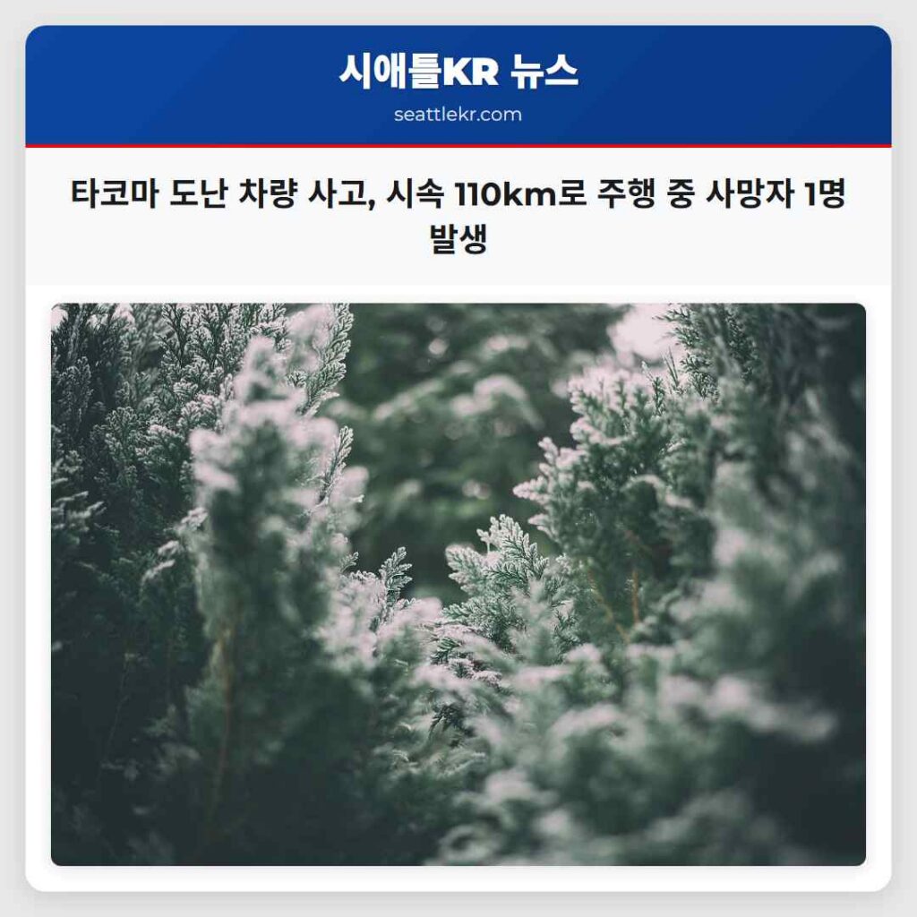 타코마 도난 차량 사고, 시속 110km로 주행 중 사망자 1명 발생