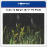 레드먼드 주민 30만 달러 규모 방문형 지붕 사기 피해… 경찰 주의 경고