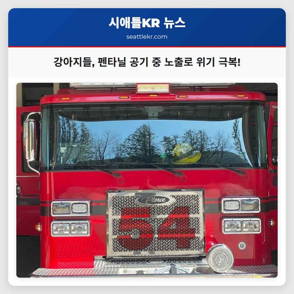 강아지들, 펜타닐 공기 중 노출로 위기 극복!