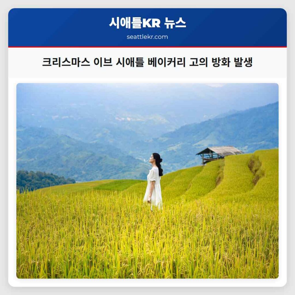 크리스마스 이브 시애틀 베이커리 고의 방화 발생