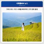 크리스마스 이브 시애틀 캐피톨 힐 시네아틱 베이커리 고의 방화 수사 중