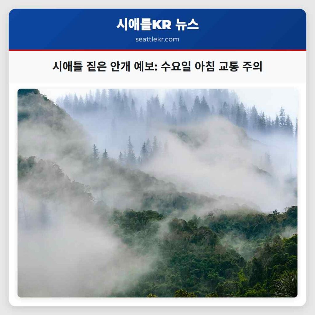 시애틀 짙은 안개 예보: 수요일 아침 교통 주의