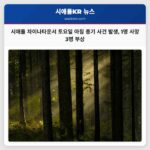 시애틀 차이나타운국제지구서 토요일 아침 총기 사건 발생 사망자 1명 부상 3명