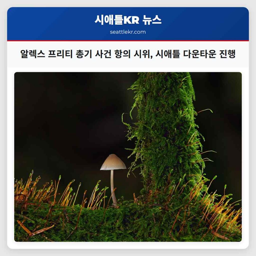 알렉스 프리티 총기 사건 항의 시위, 시애틀 다운타운 진행