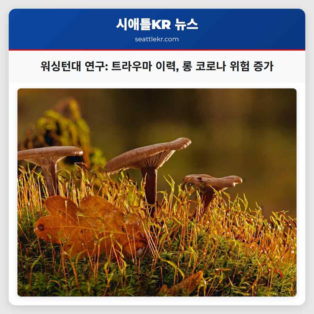 워싱턴대 연구: 트라우마 이력, 롱 코로나 위험 증가