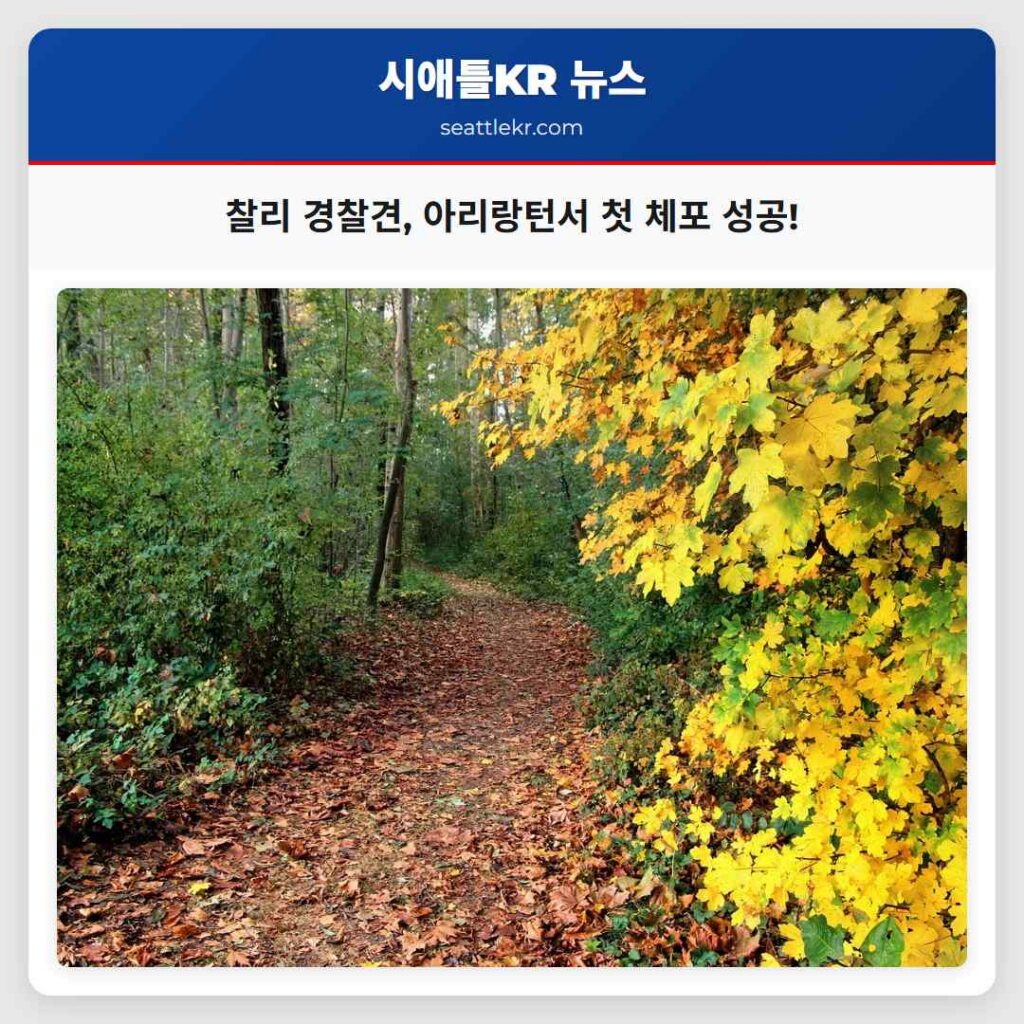 시애틀 최신뉴스 6 찰리 경찰견, 아리랑턴서 첫 체포 성공!