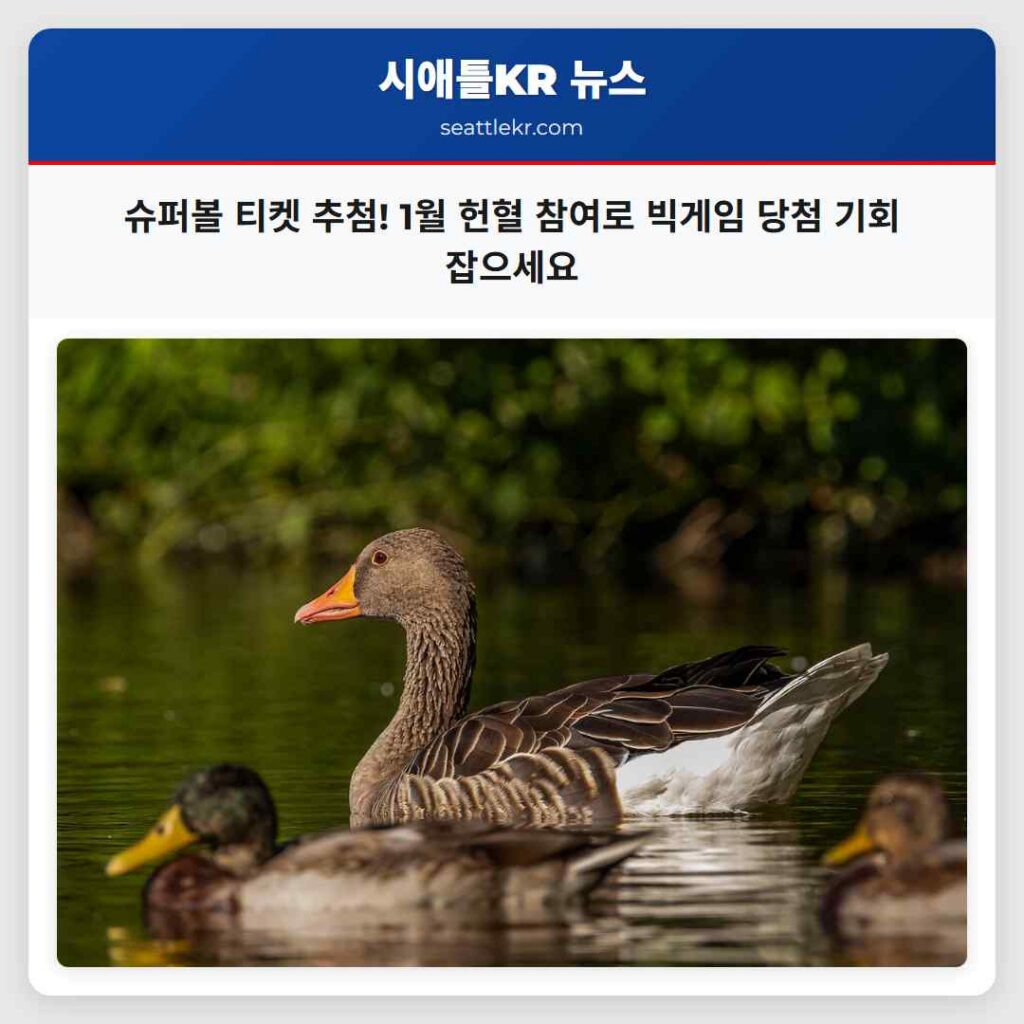 슈퍼볼 티켓 추첨! 1월 헌혈 참여로 빅게임 당첨 기회 잡으세요