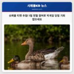 슈퍼볼 LX 헌혈 참여자 빅게임 티켓 당첨 기회 확보