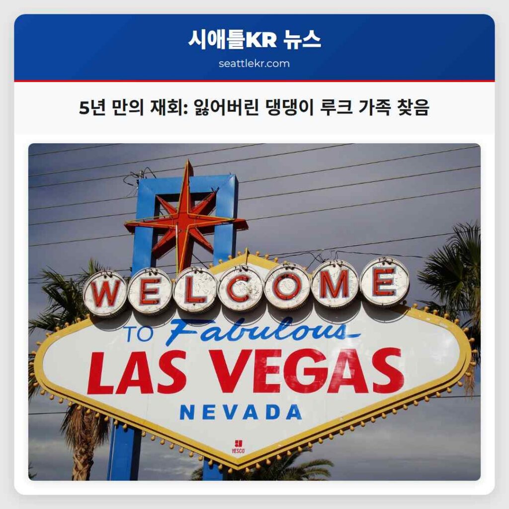 5년 만의 재회: 잃어버린 댕댕이 루크 가족 찾음