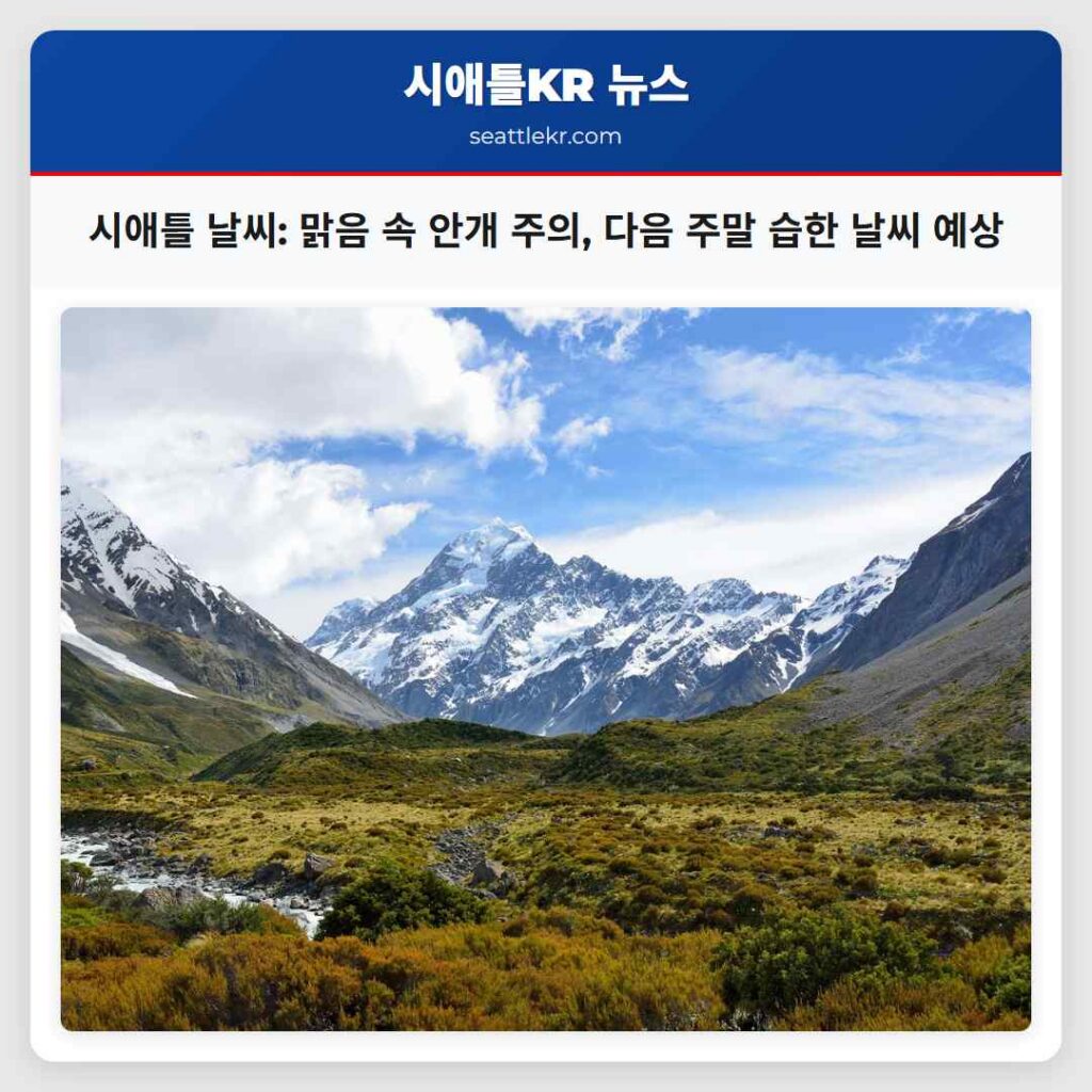 시애틀 날씨: 맑음 속 안개 주의, 다음 주말 습한 날씨 예상