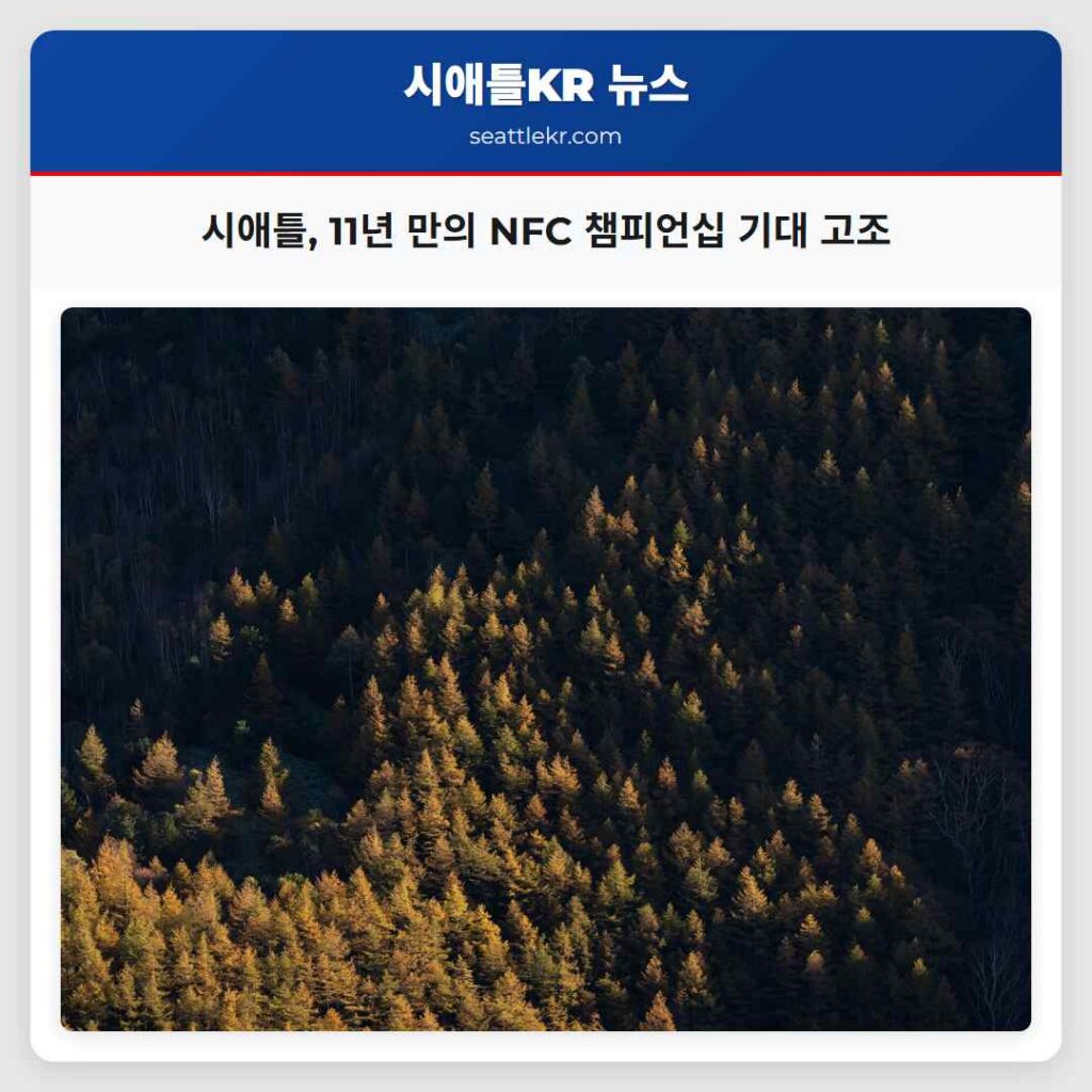 시애틀, 11년 만의 NFC 챔피언십 기대 고조
