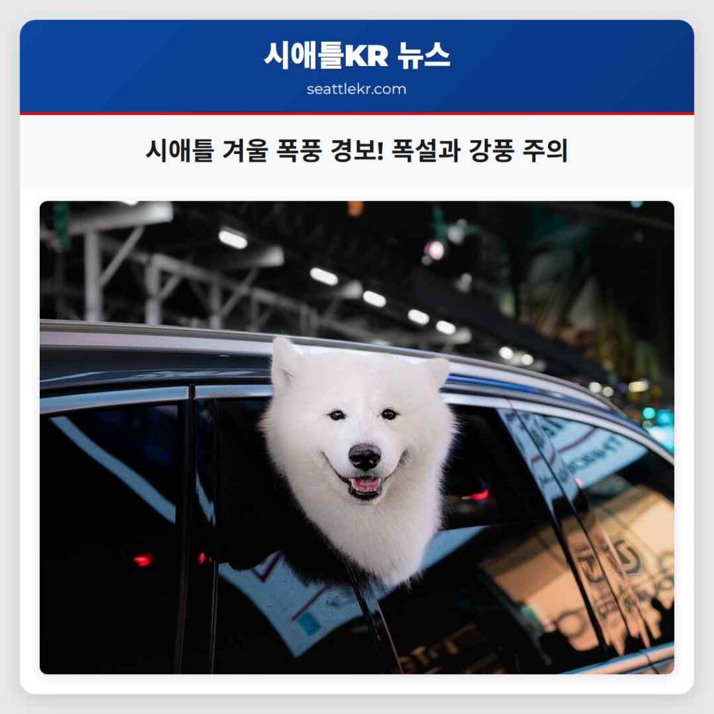 시애틀 겨울 폭풍 경보! 폭설과 강풍 주의