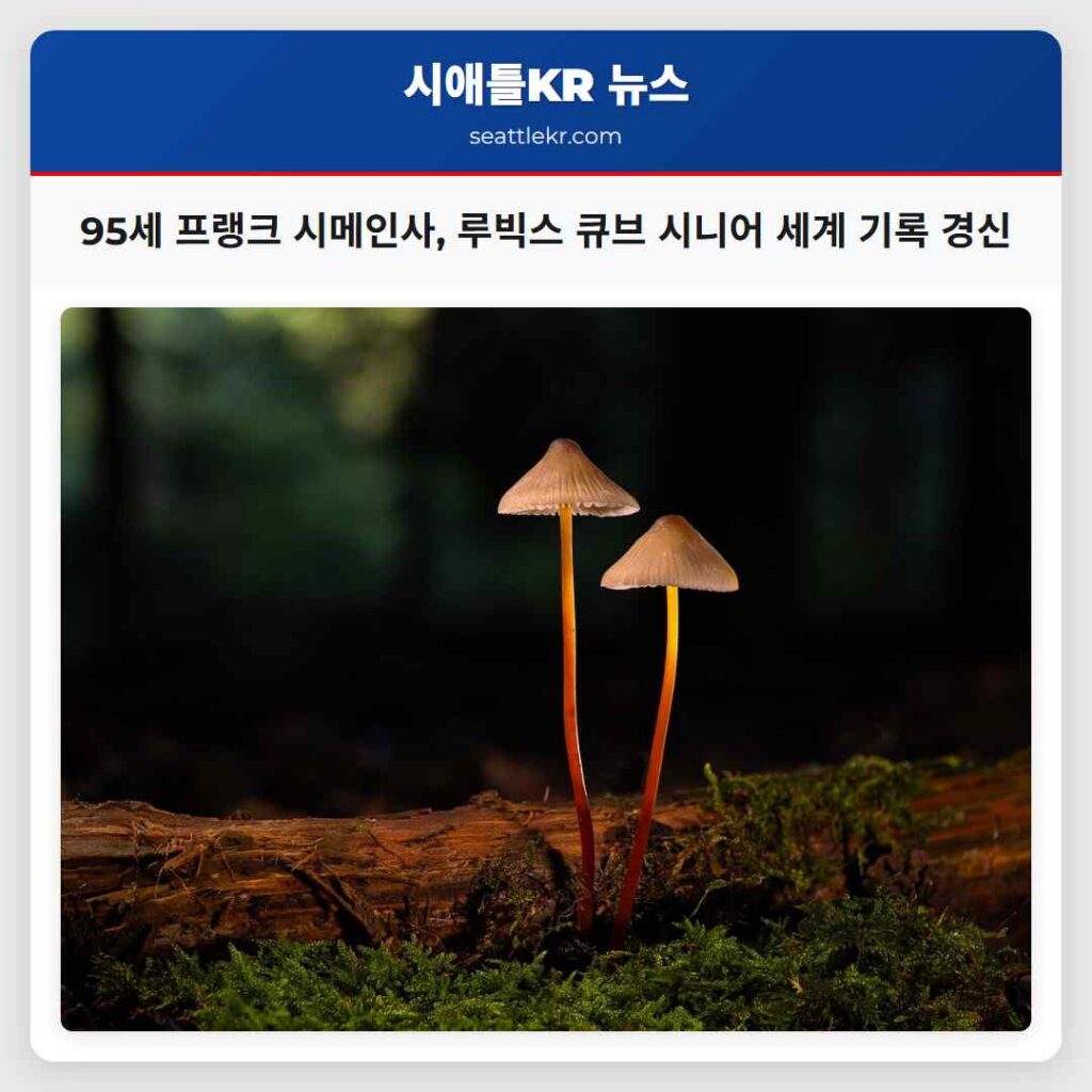 95세 프랭크 시메인사, 루빅스 큐브 시니어 세계 기록 경신