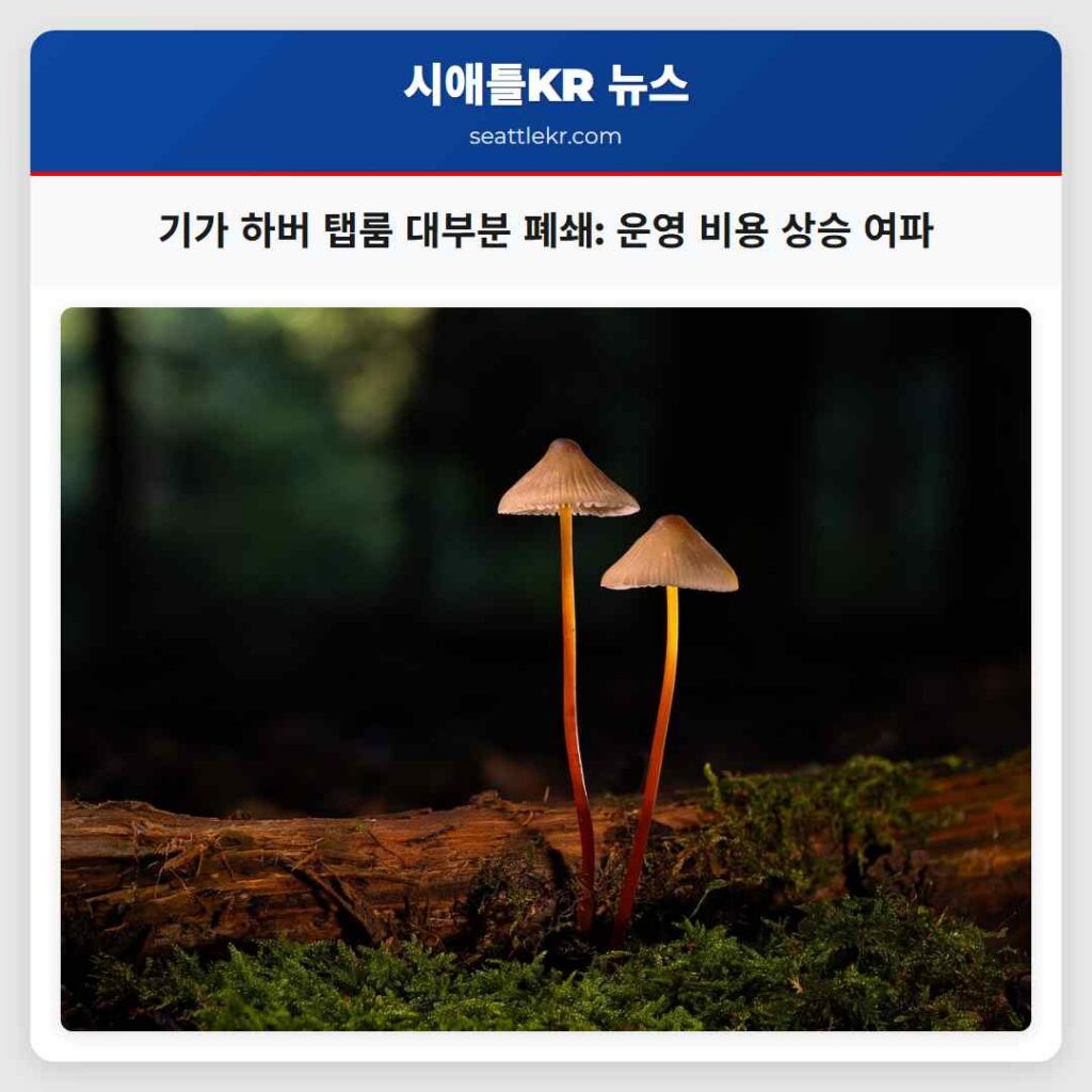 기가 하버 탭룸 대부분 폐쇄: 운영 비용 상승 여파