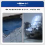 새해 첫날 폴시티 주택가에 총기 포격 발생… 가족 불안감 고조