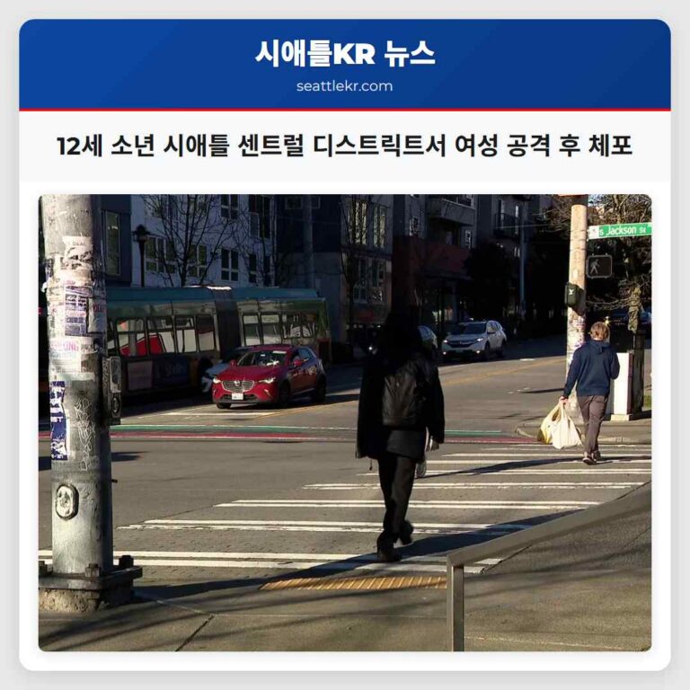 시애틀 센트럴 디스트릭트에서 12세 소년 여성 공격 후 도주… 체포