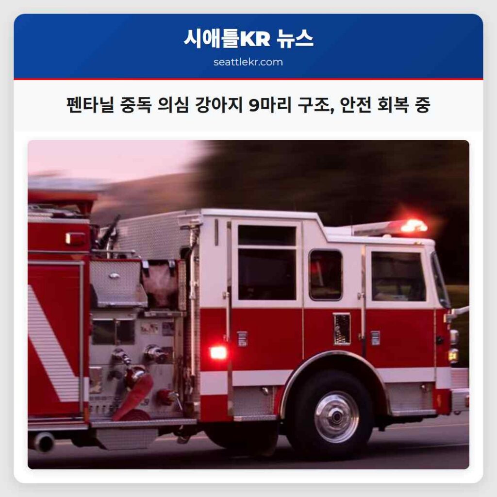 펜타닐 중독 의심 강아지 9마리 구조, 안전 회복 중