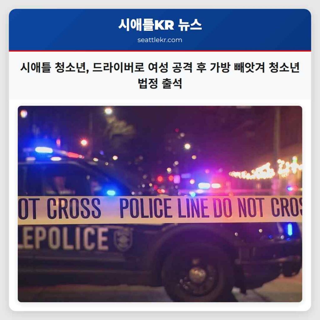 시애틀 청소년, 드라이버로 여성 공격 후 가방 빼앗겨 청소년 법정 출석
