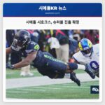 시애틀 시호크스 슈퍼볼 진출 확정